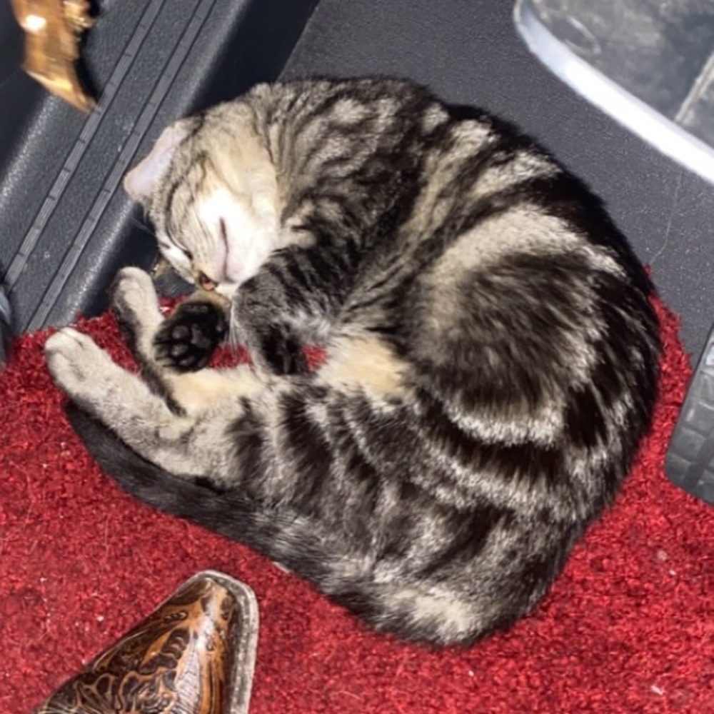 Meet your Posher, Terrin